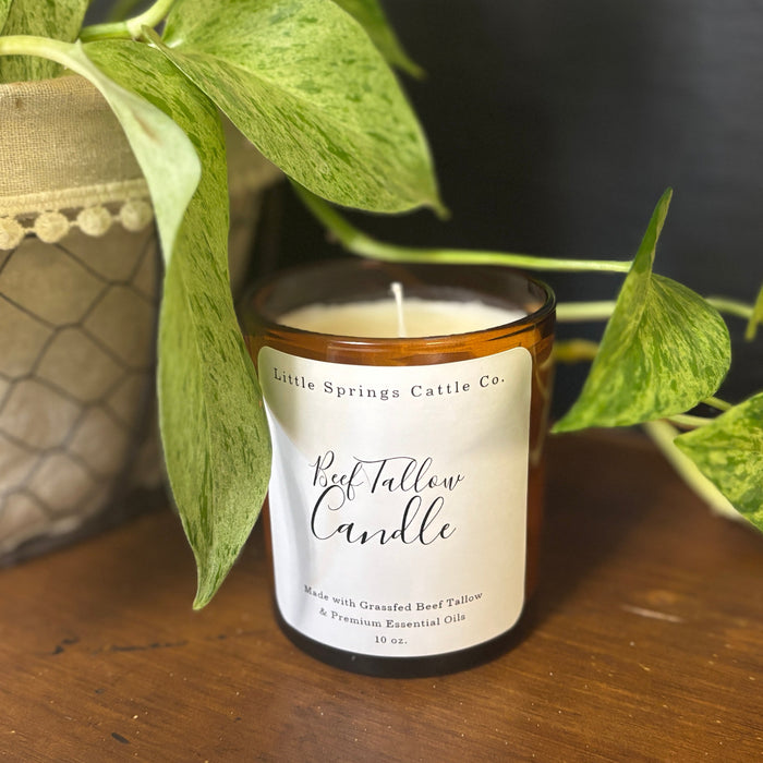 A beef tallow citronella candle surrounded by a green plant