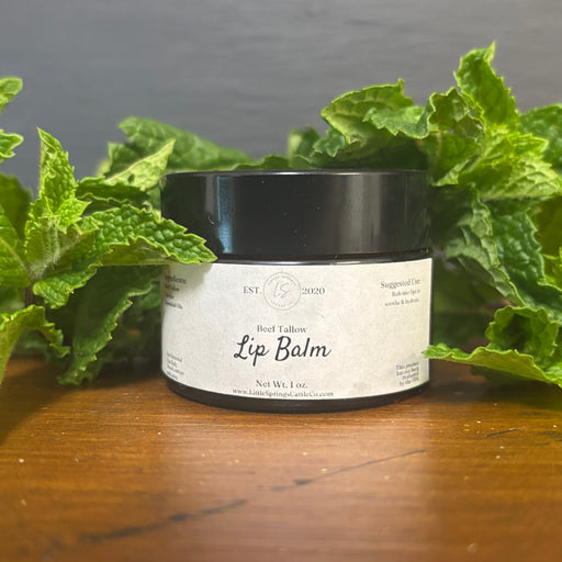 beef tallow lip balm with mint surrounding it