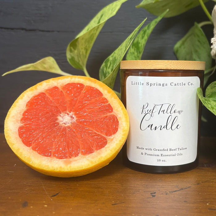 Beef Tallow Candle