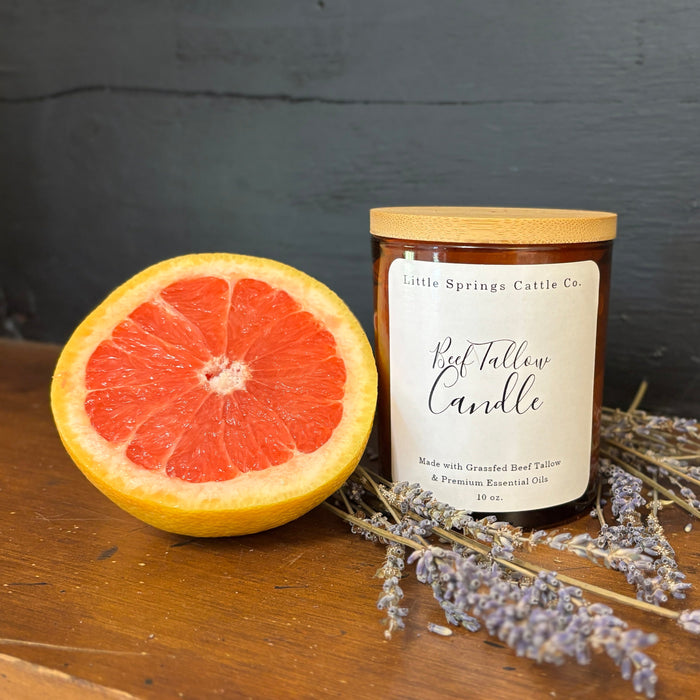 A beef tallow candle with grapefruit and lavender surrounding it