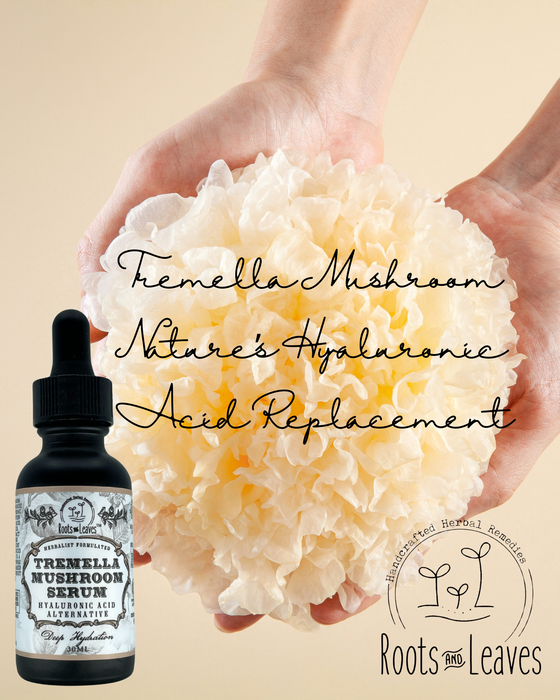 Tremella Mushroom Serum - Hyaluronic Acid replacement